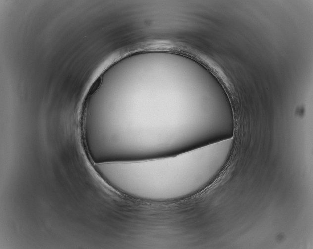 X0000100841475200806200726