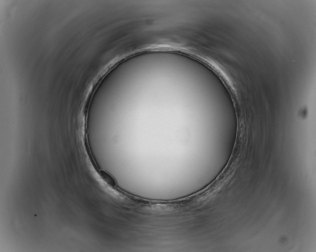 X0000100841476200806200726