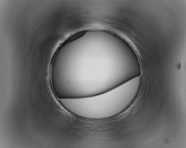 X0000100841477200806200726