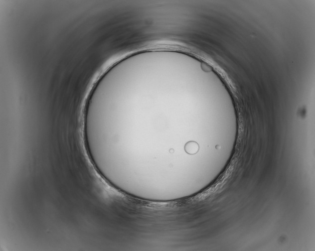 X0000100841478200806200726
