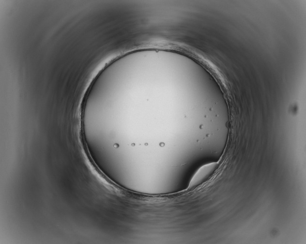 X0000100841479200806200726