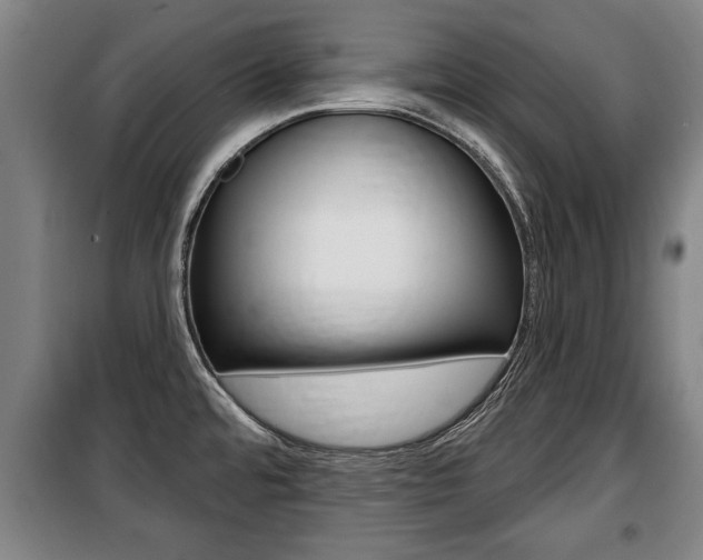X0000100841480200806200726
