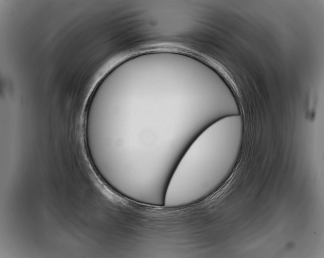 X0000100841482200806200726