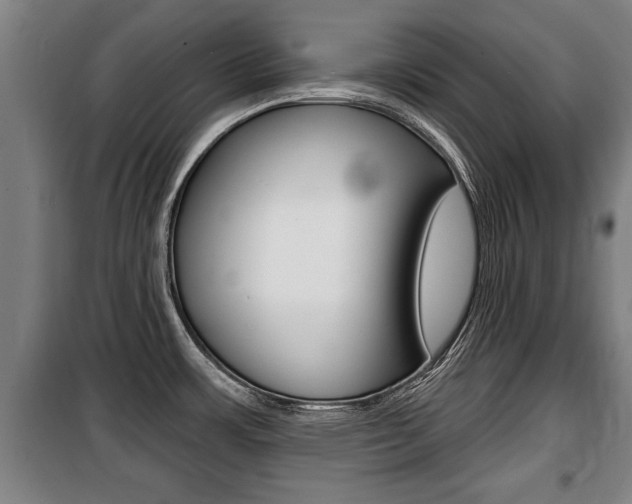 X0000100841483200806200726