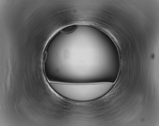 X0000100841484200806200726