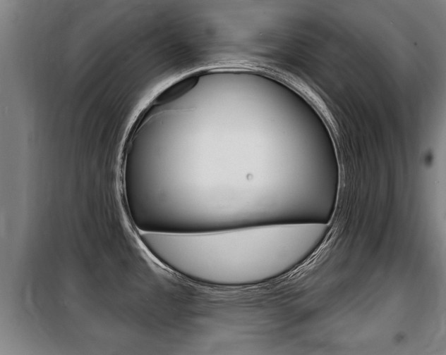 X0000100841485200806200726