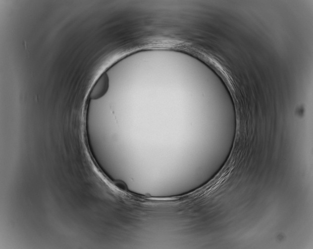 X0000100841487200806200726