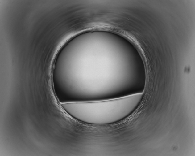 X0000100841488200806200726