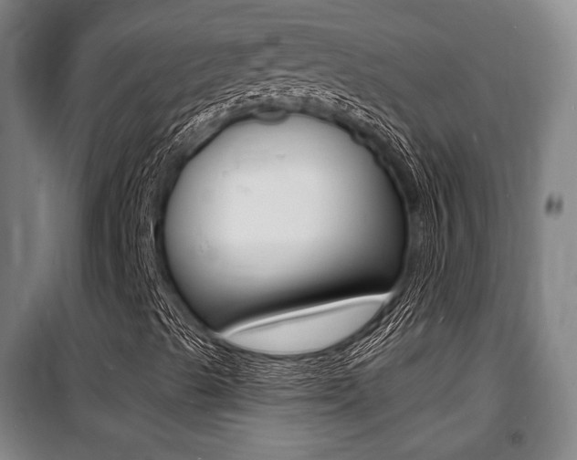 X0000100841489200806200725