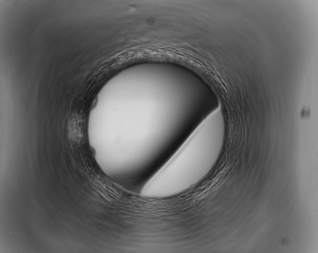 X0000100841490200806200725
