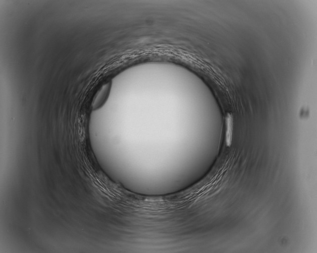 X0000100841491200806200725