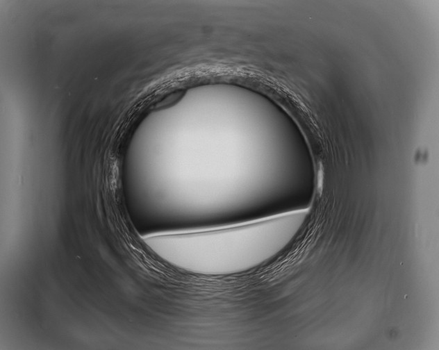 X0000100841492200806200725