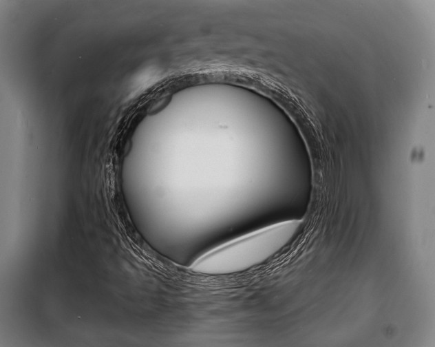 X0000100841493200806200725