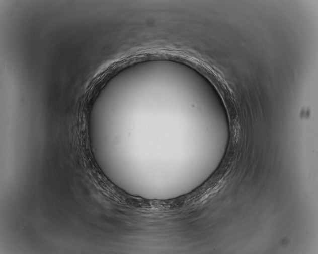 X0000100841494200806200725