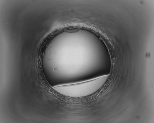 X0000100841495200806200725