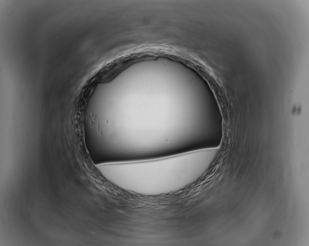 X0000100841496200806200726