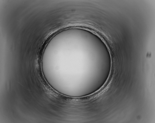 X0000100841497200806200726