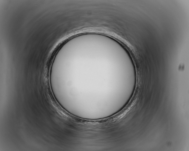 X0000100841498200806200726