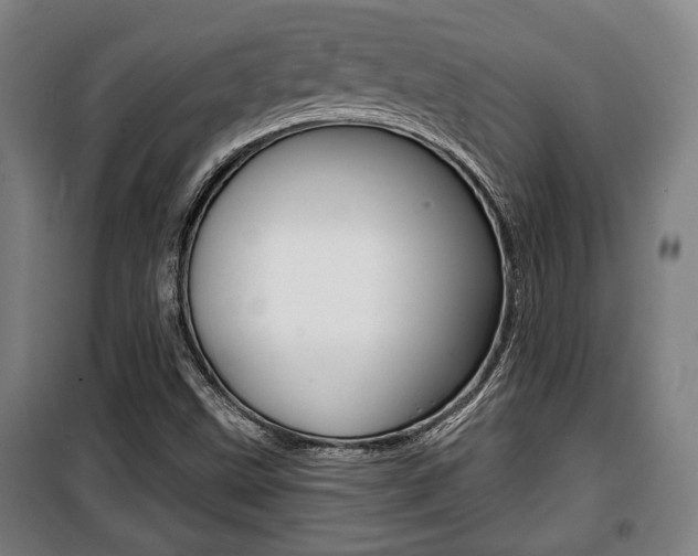 X0000100841499200806200726
