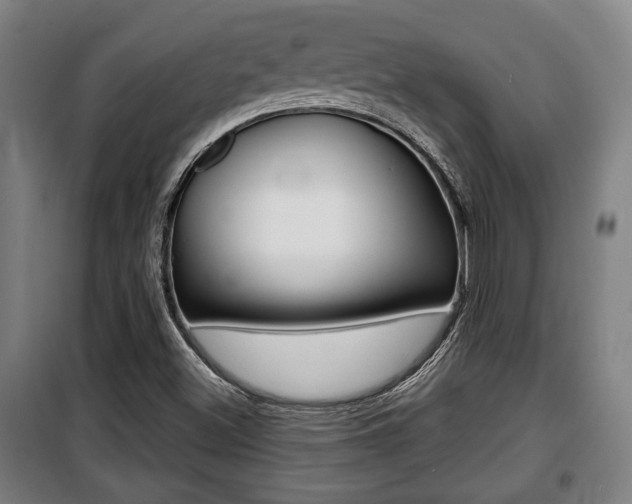 X0000100841500200806200726