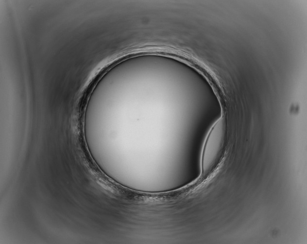 X0000100841501200806200726