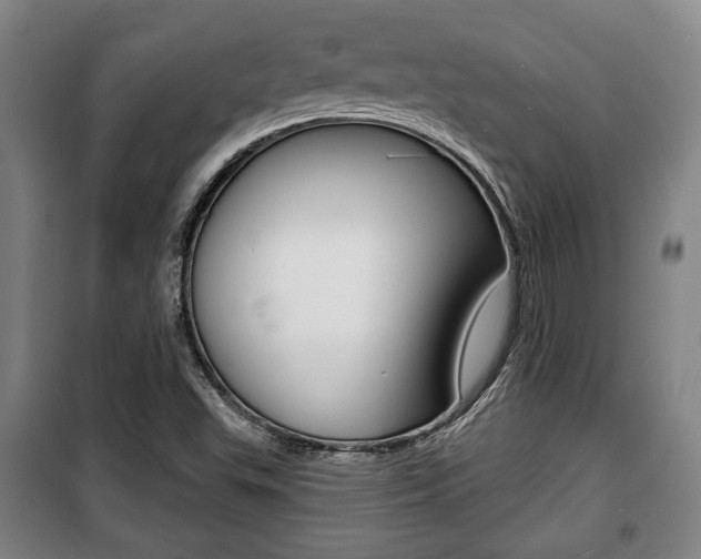 X0000100841503200806200726