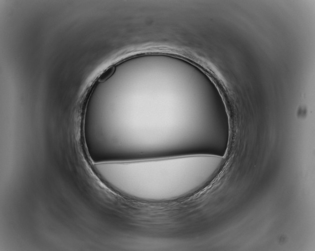 X0000100841504200806200726
