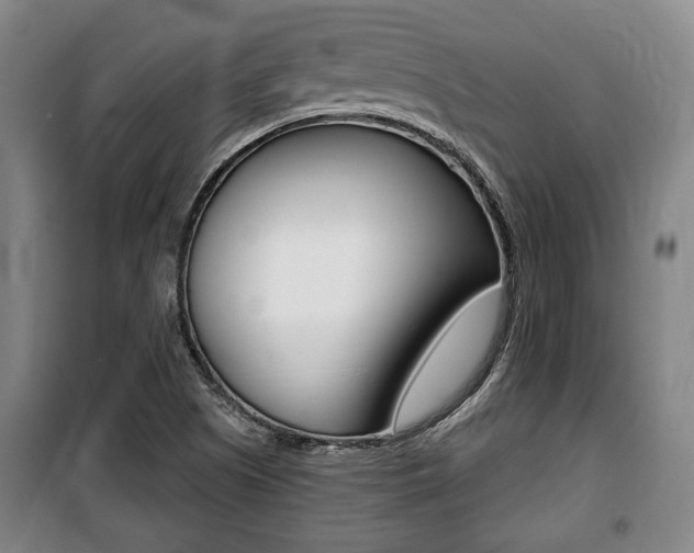 X0000100841505200806200726