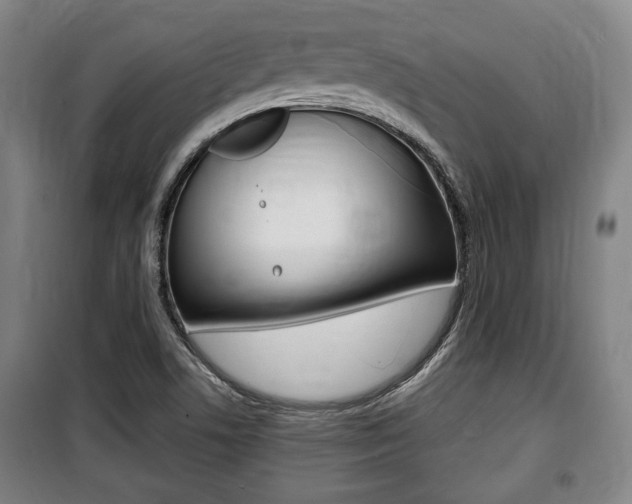 X0000100841506200806200726