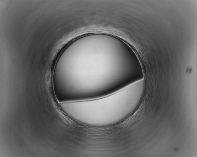 X0000100841507200806200726