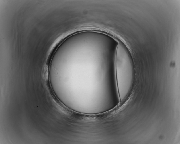 X0000100841509200806200726