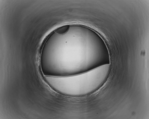 X0000100841510200806200726