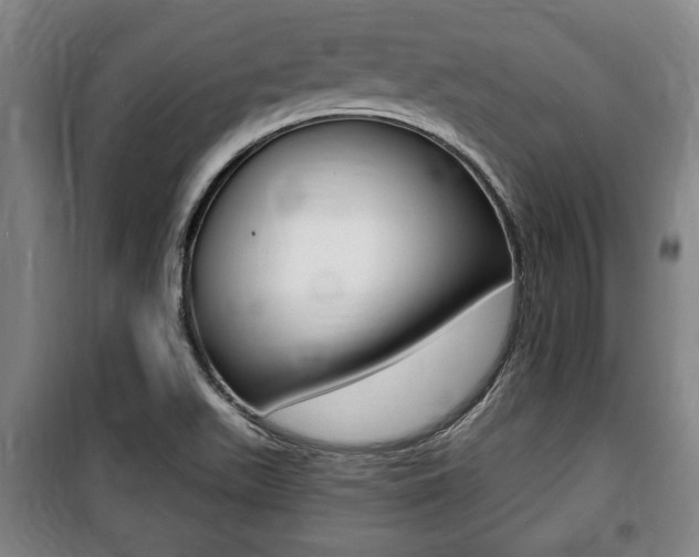 X0000100841511200806200726