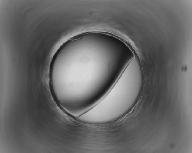 X0000100841512200806200726