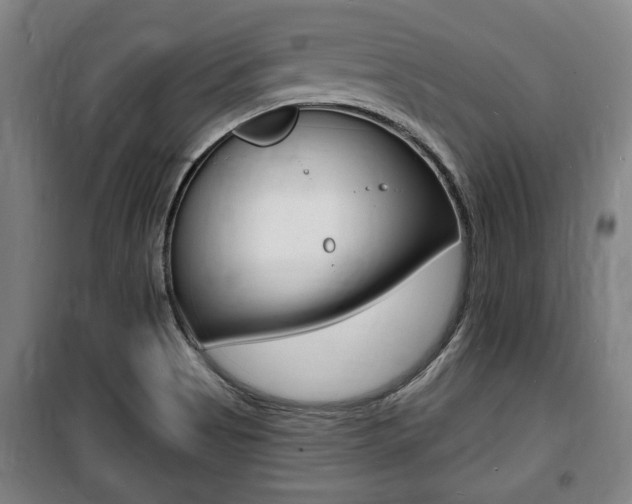 X0000100841513200806200726