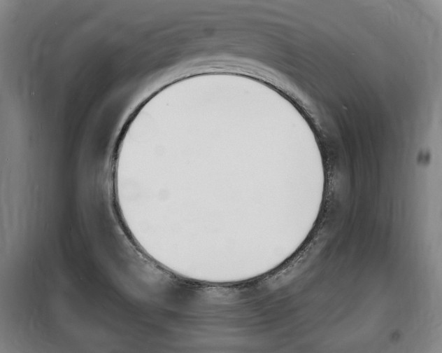 X0000100841514200806200726