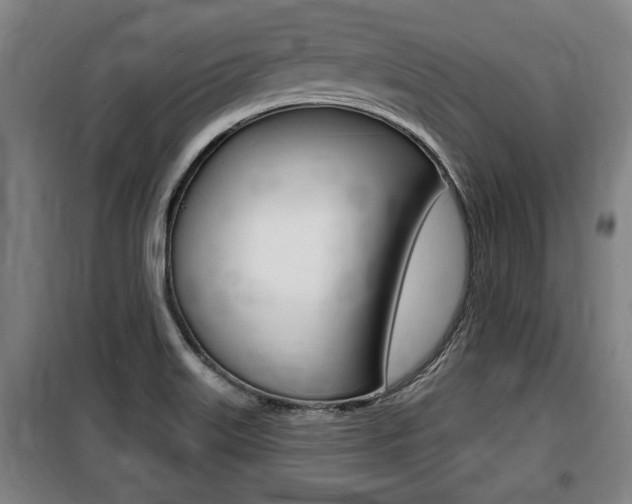 X0000100841515200806200726