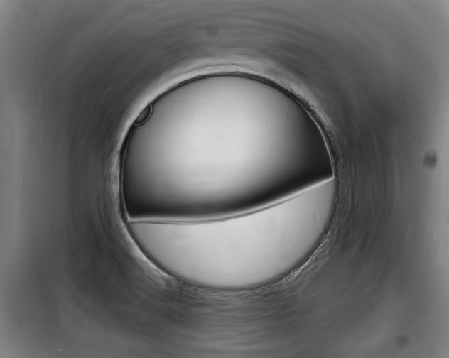 X0000100841516200806200726