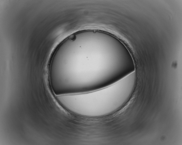 X0000100841517200806200726