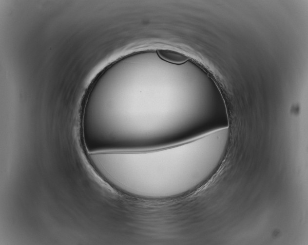 X0000100841518200806200726