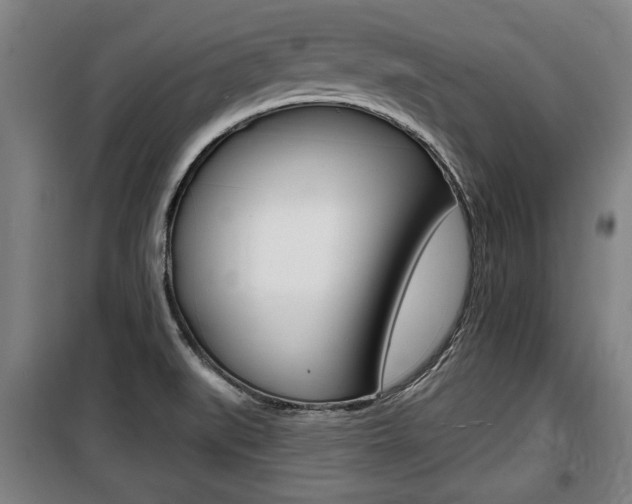 X0000100841519200806200726