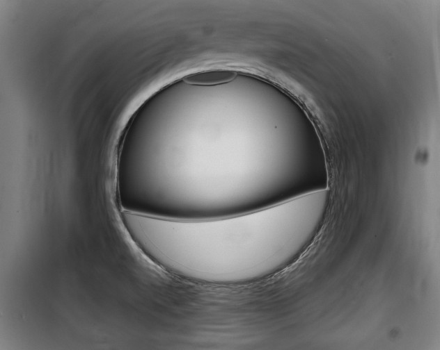 X0000100841520200806200726