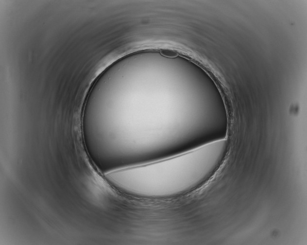 X0000100841521200806200726