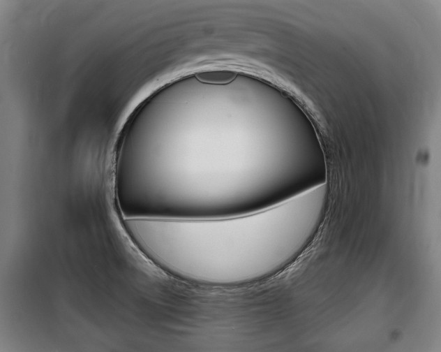 X0000100841522200806200726