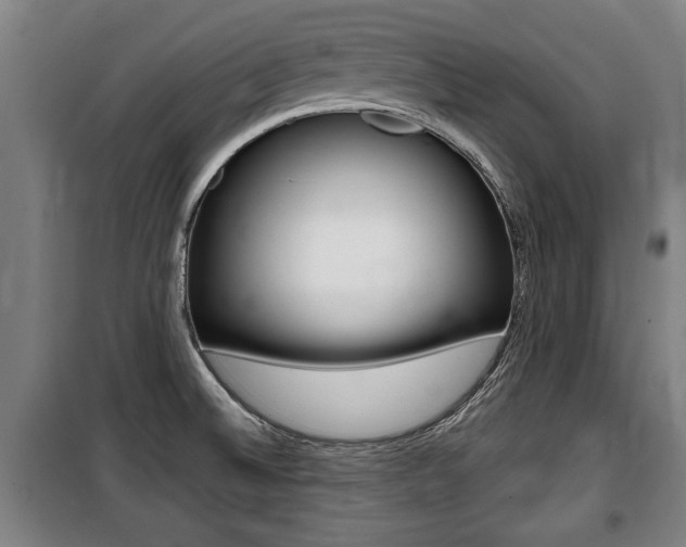 X0000100841524200806200726