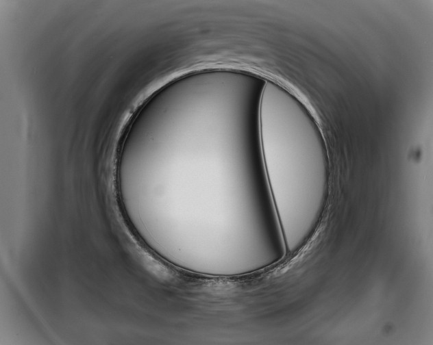 X0000100841525200806200726