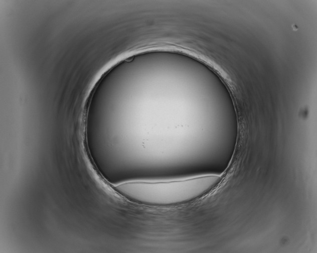 X0000100841526200806200726