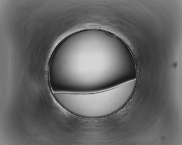 X0000100841527200806200726