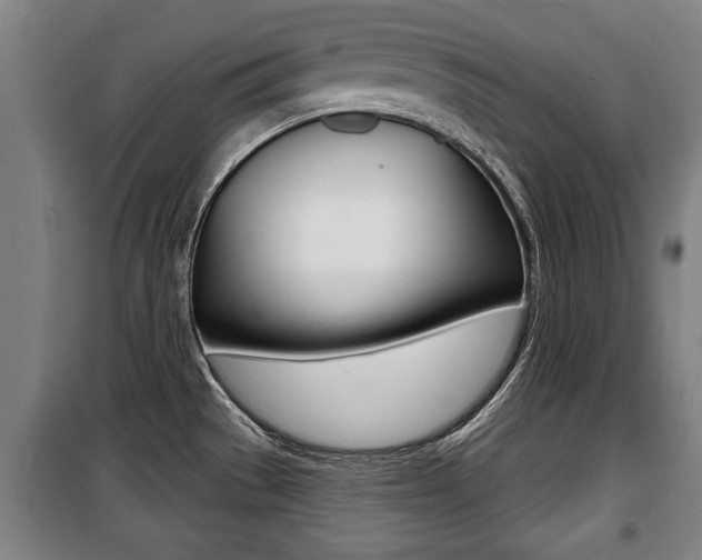 X0000100841529200806200726