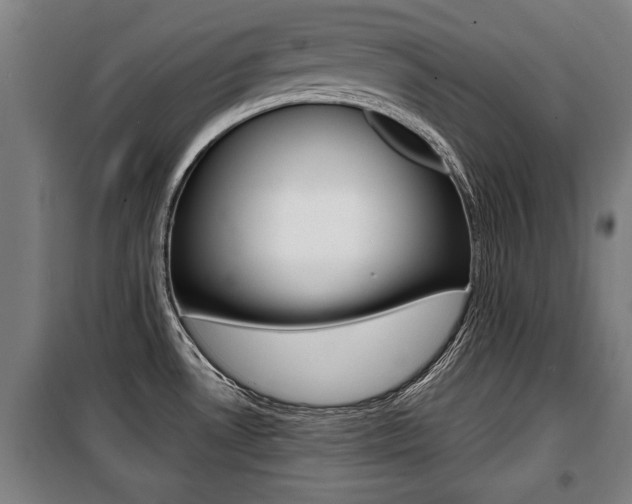 X0000100841530200806200726